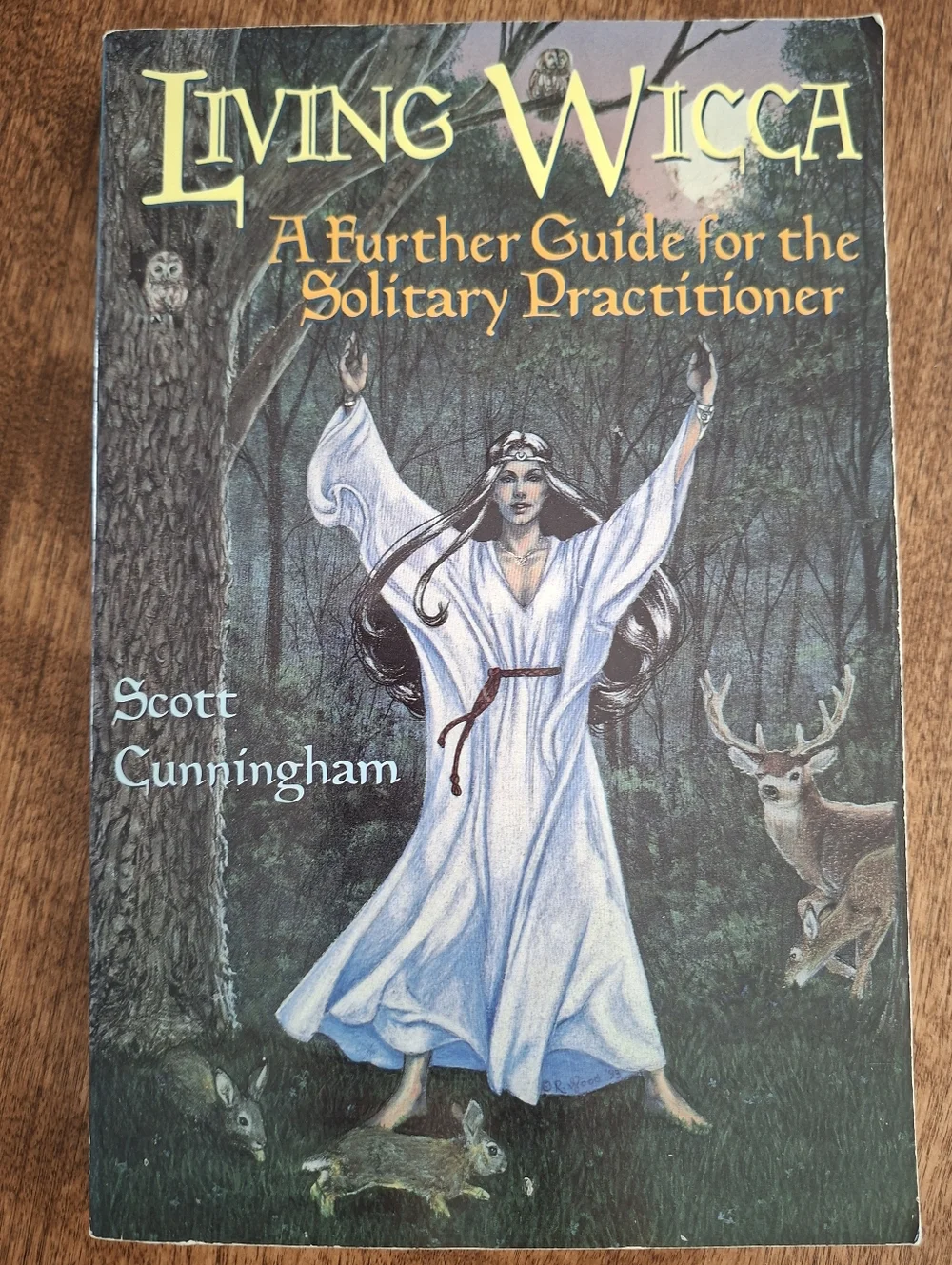 Wicca Alchemy Crystal Druidry Charms Practical Rituals Books Lot Of 5 - Picture 2 of 12